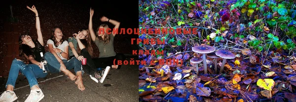 стафф Кинешма