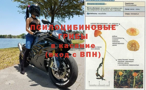 стафф Кинешма