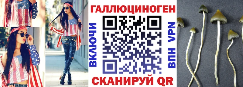 Псилоцибиновые грибы GOLDEN TEACHER Кукмор