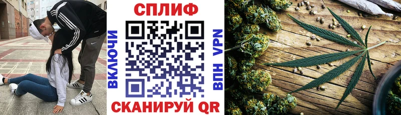 Канабис план  Купить где  Кукмор 